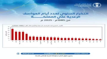 59 عاصفة رعدية.. أبها تتصدر قائمة المدن السعودية الأكثر عرضة للصواعق السنوية